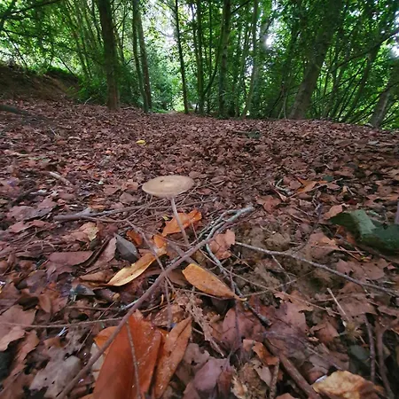 Ferme 16 Pers Calme Et Nature à * Clécy