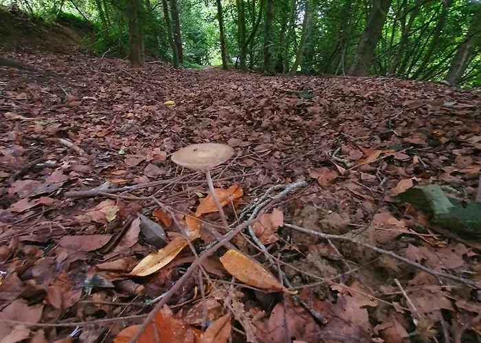 Ferme 16 Pers Calme Et Nature A * Clecy